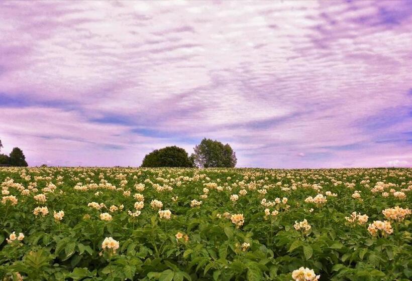 הוסטל Kloosterstraat40