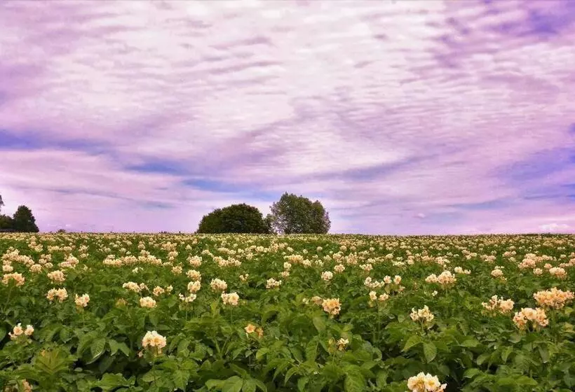 Retkeilymaja Kloosterstraat40