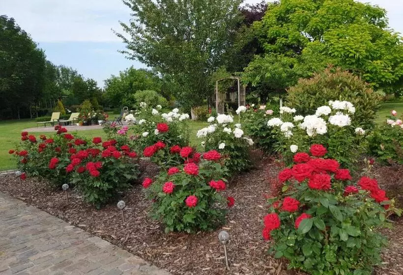 B&b Secret Garden
