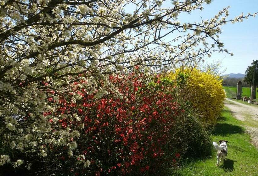 Aamiaismajoitus (B&B) Il Boschetto Di Morgana