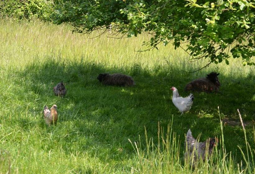 Bed and Breakfast Les Chambres De Souverain Moulin