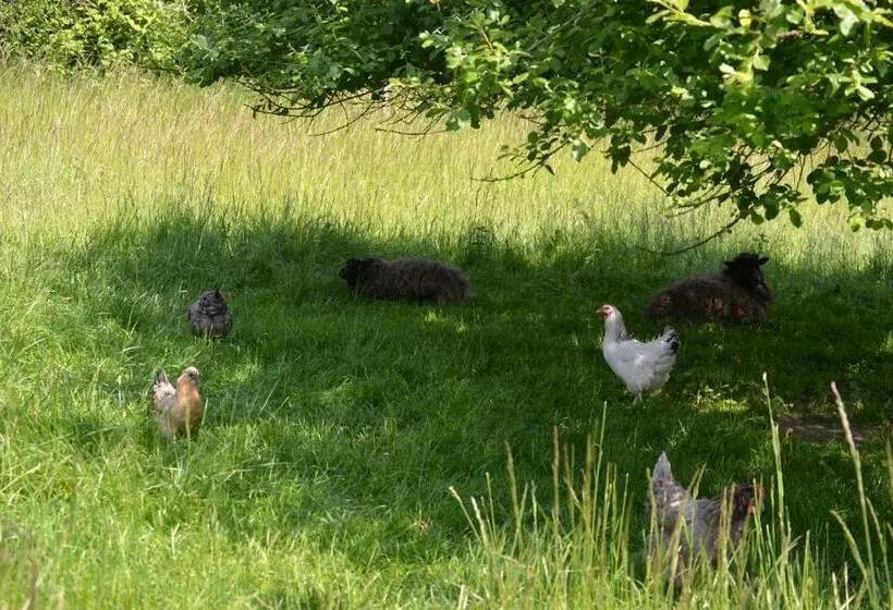Aamiaismajoitus (B&B) Les Chambres De Souverain Moulin