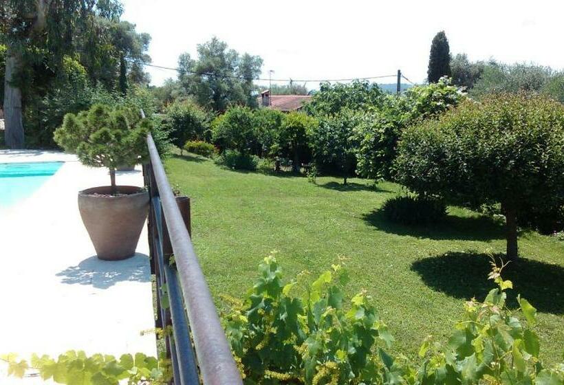 住宿加早餐 Les Collines De St Paul