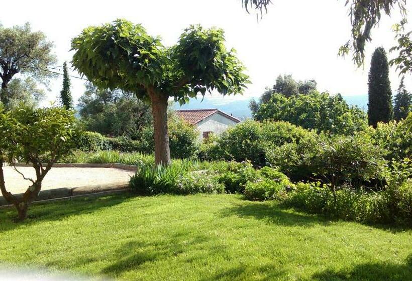 住宿加早餐 Les Collines De St Paul