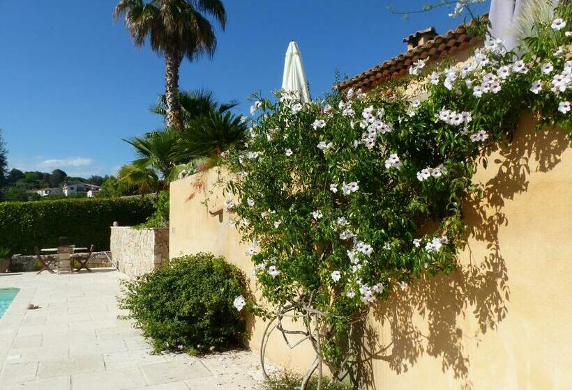 住宿加早餐 Les Collines De St Paul