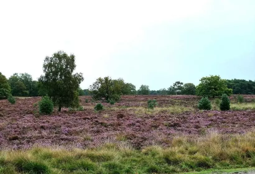 Gasterij Hotel Dennenoord