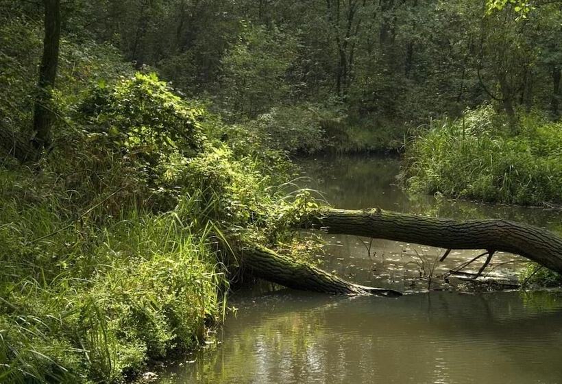 Gasterij Hotel Dennenoord
