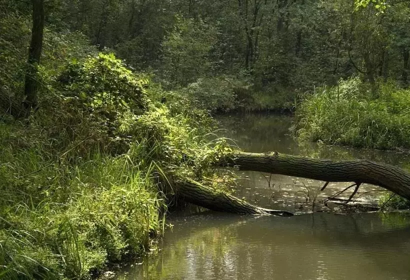Gasterij Hotel Dennenoord