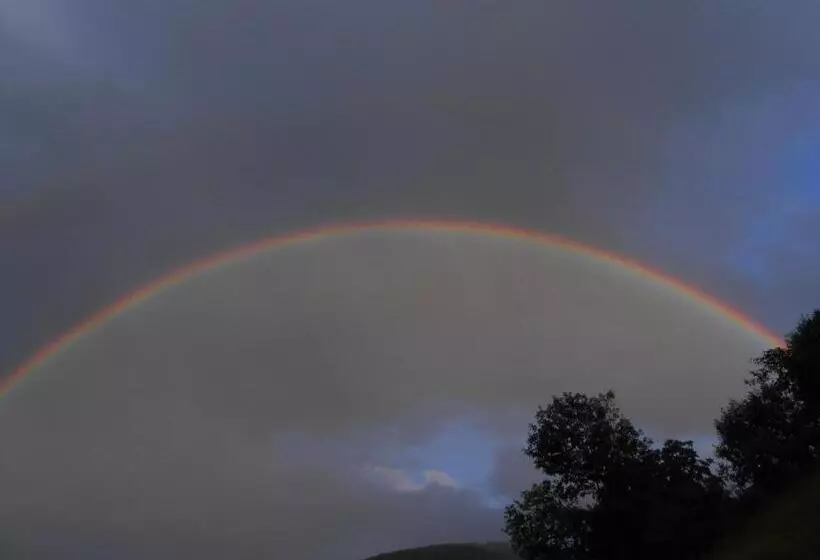 ホテル Agriturismo La Casa Nei Boschi