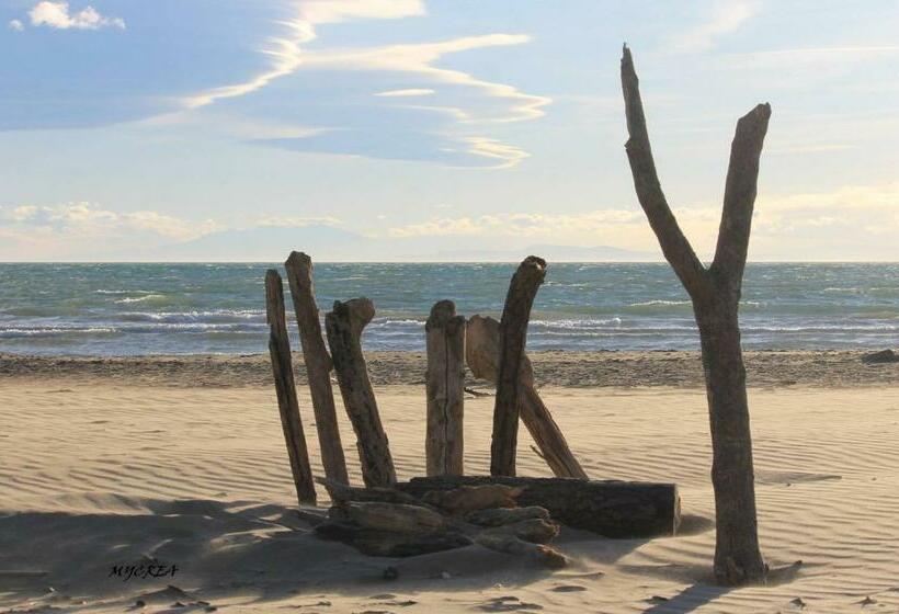 پانسیون Chez Régine