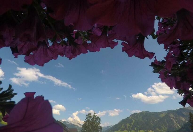 膳宿费 Gastehaus Reichle