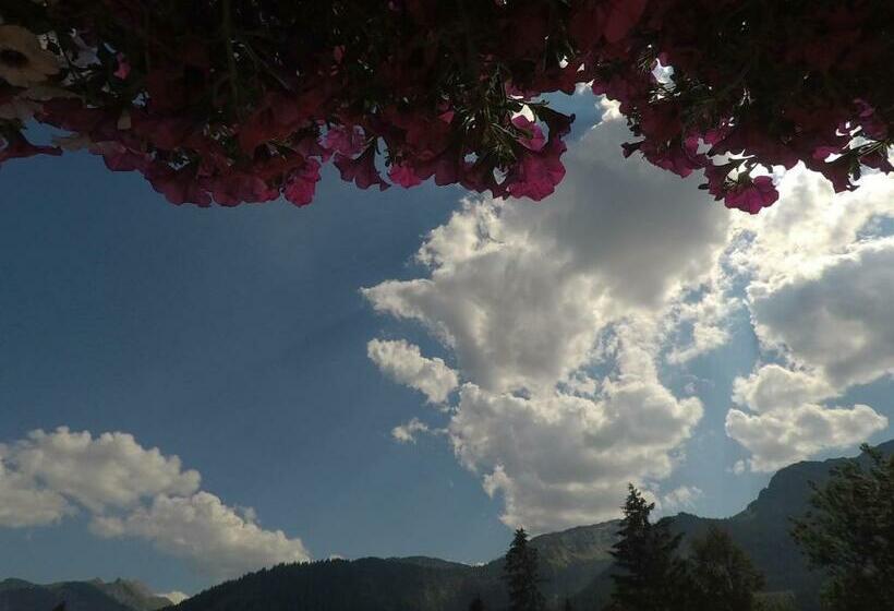 膳宿费 Gastehaus Reichle