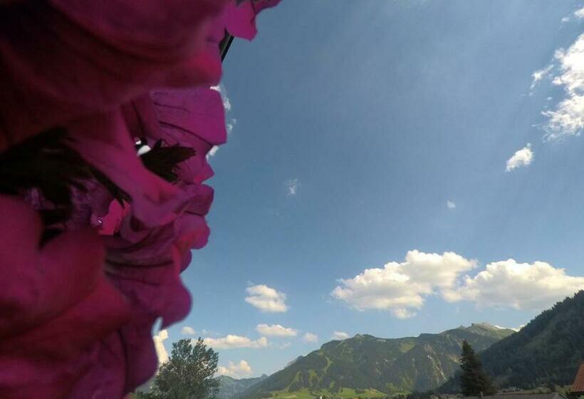 膳宿费 Gastehaus Reichle