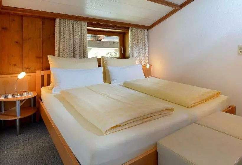 Pension Hinterholzer