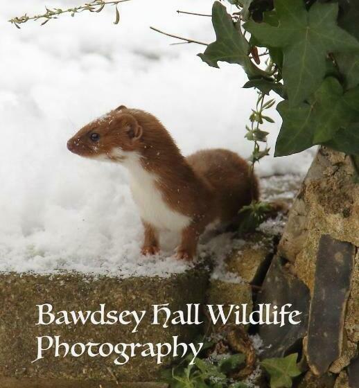 Bed and Breakfast Bawdsey Hall