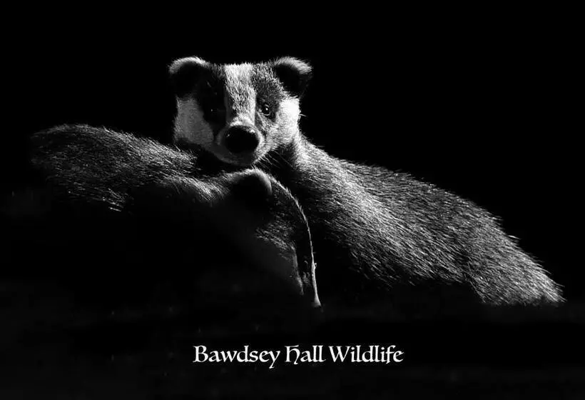 Aamiaismajoitus (B&B) Bawdsey Hall