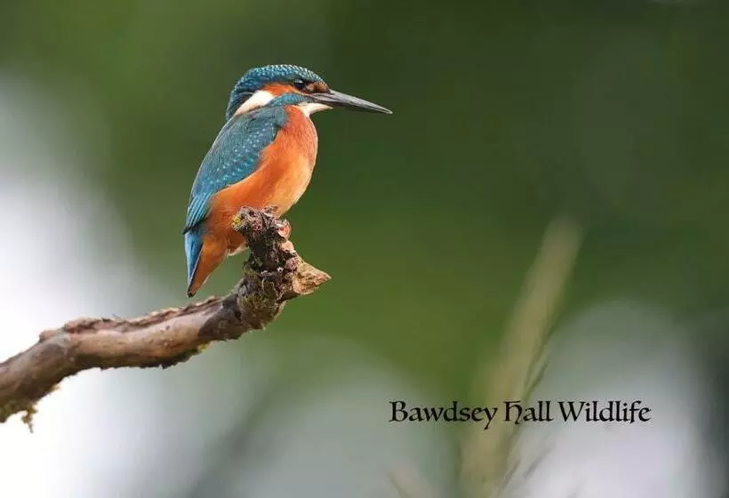 Aamiaismajoitus (B&B) Bawdsey Hall