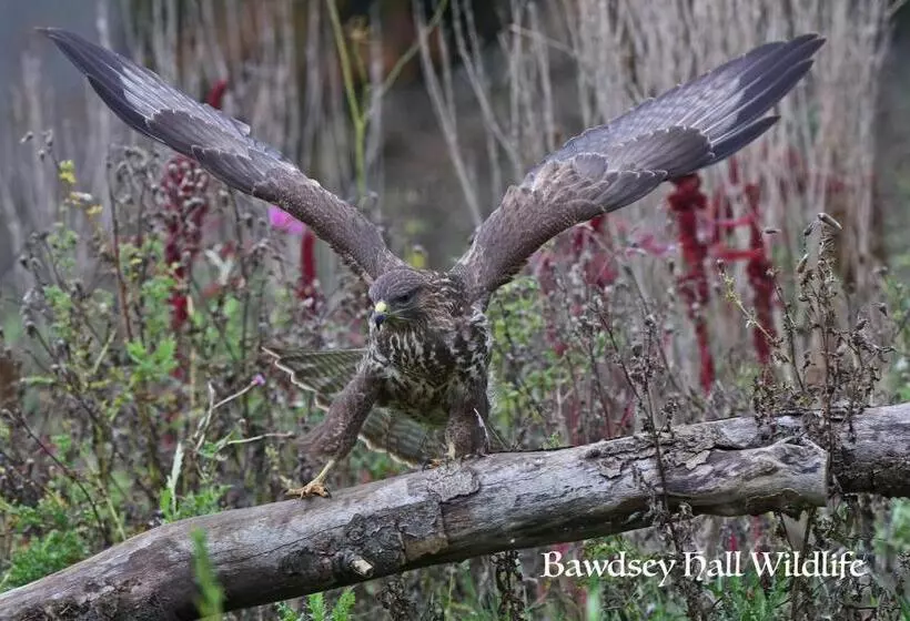 Aamiaismajoitus (B&B) Bawdsey Hall