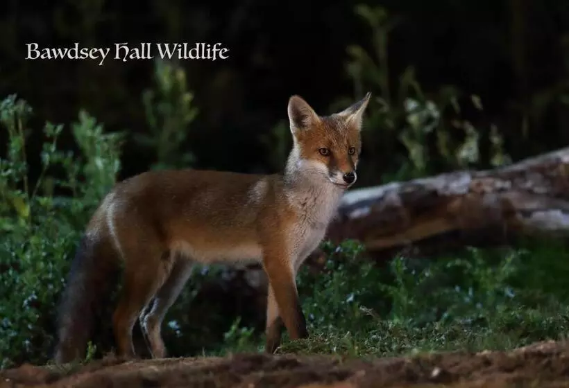 Aamiaismajoitus (B&B) Bawdsey Hall