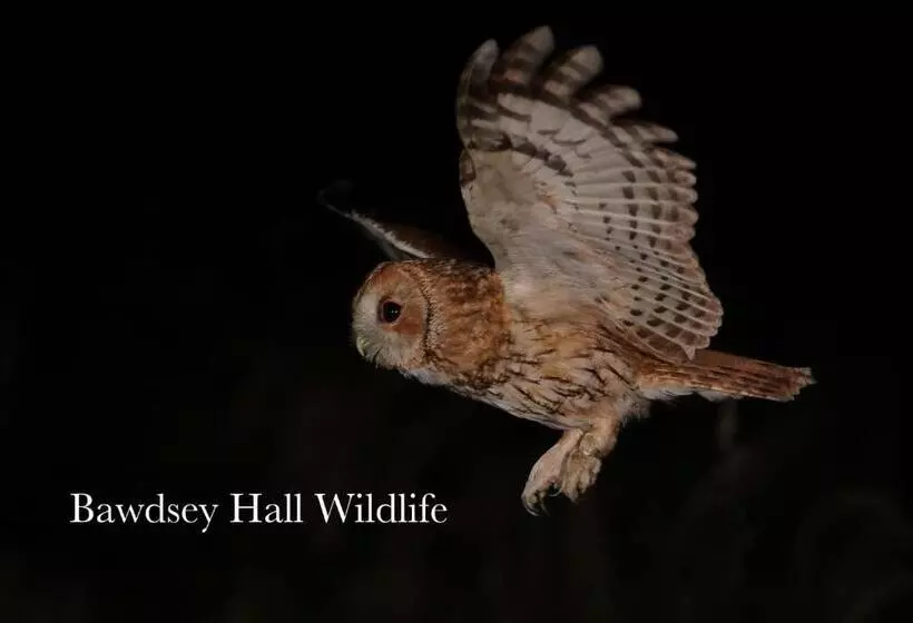 Aamiaismajoitus (B&B) Bawdsey Hall