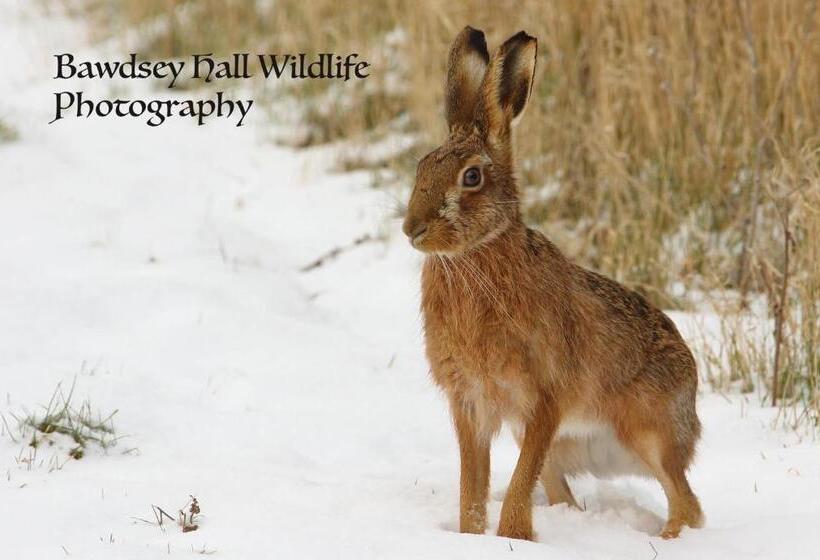 Bed and Breakfast Bawdsey Hall