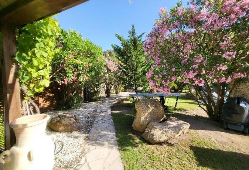 צימר Petra Bianca