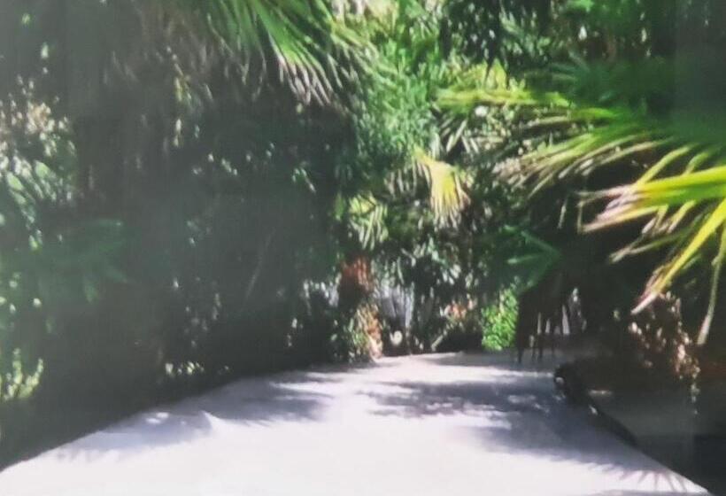 צימר Petra Bianca