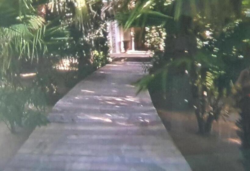 צימר Petra Bianca