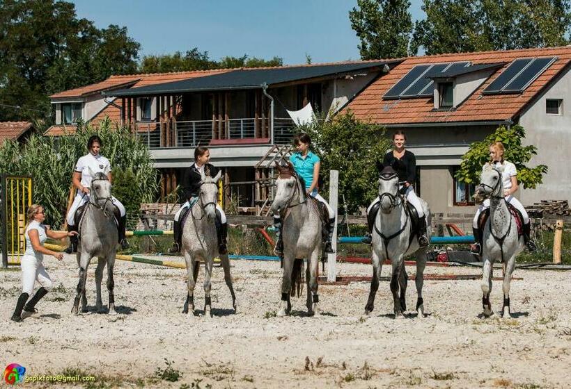 مبيت وإفطار Silver Horse Ranch