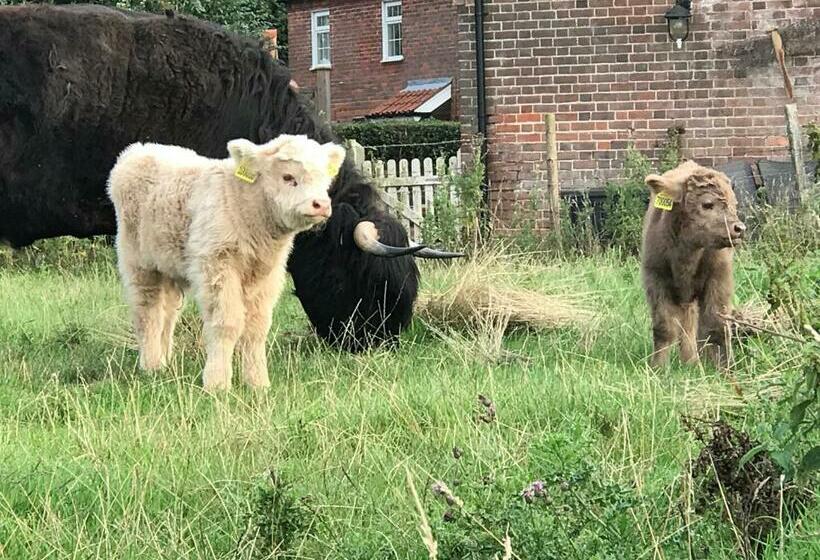 Bed and Breakfast The Earsdon Annexe