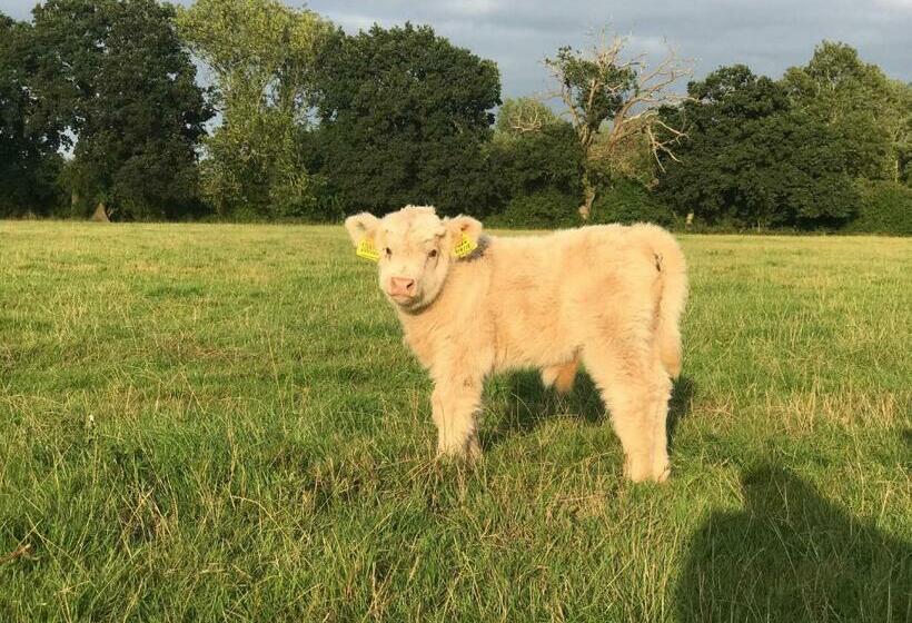 Bed and Breakfast The Earsdon Annexe