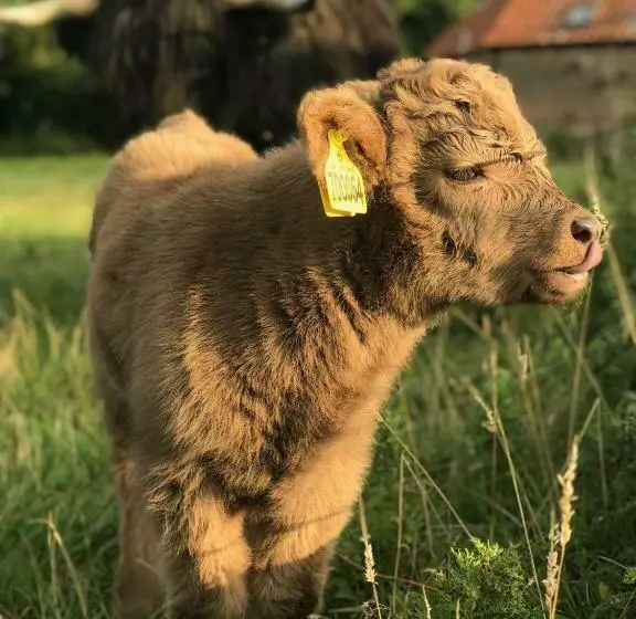 Aamiaismajoitus (B&B) The Earsdon Annexe