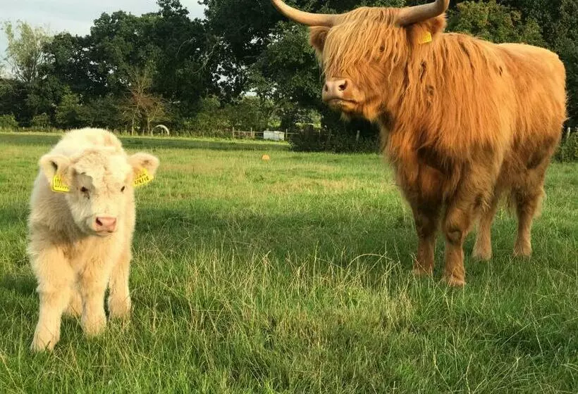 Aamiaismajoitus (B&B) The Earsdon Annexe