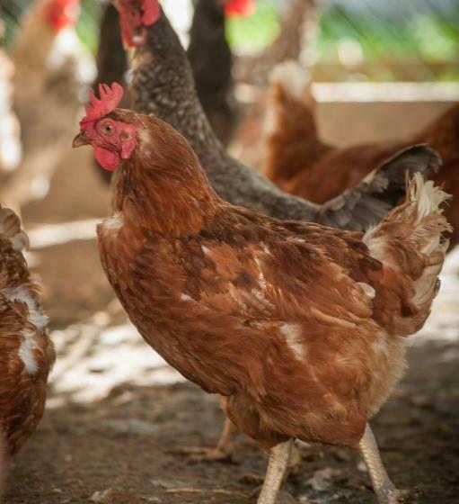 ホテル Ferienwohnung Mair Am Bach