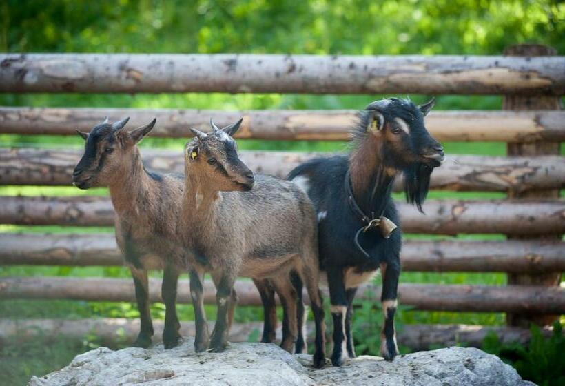 ホテル Ferienwohnung Mair Am Bach