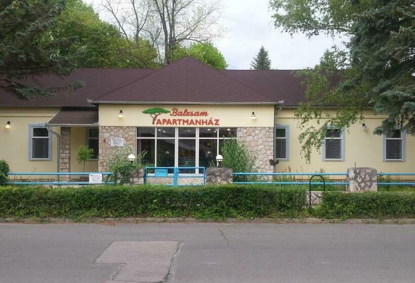 펜션 Balzsam Apartmanház