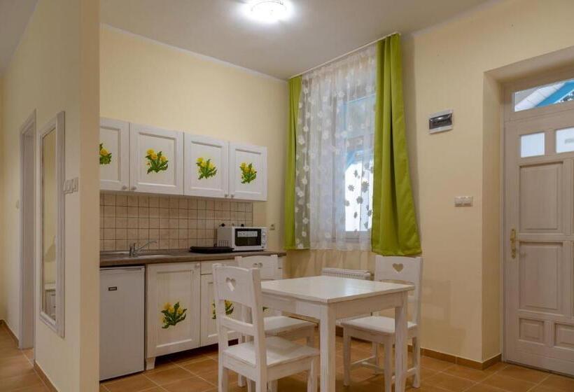펜션 Balzsam Apartmanház