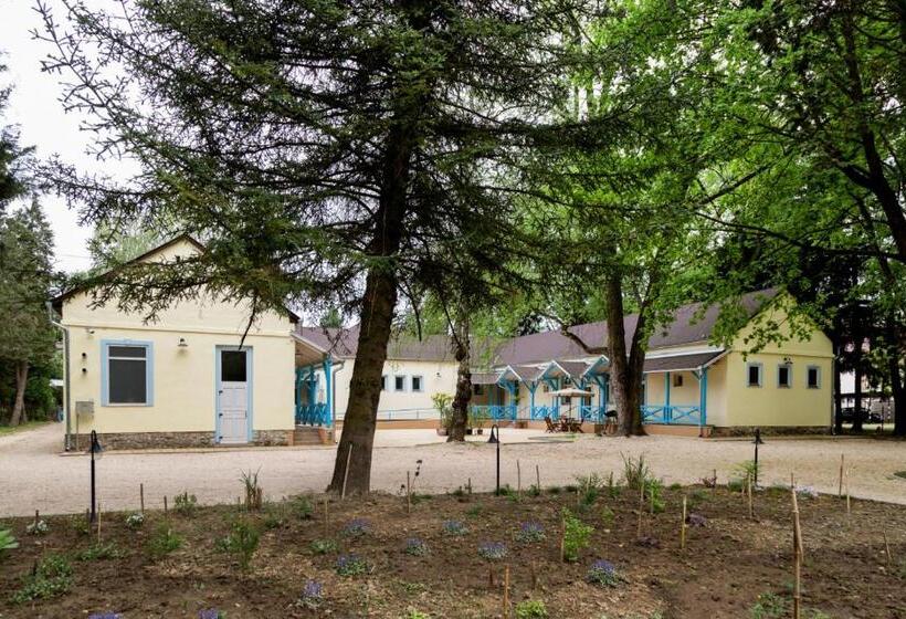 펜션 Balzsam Apartmanház