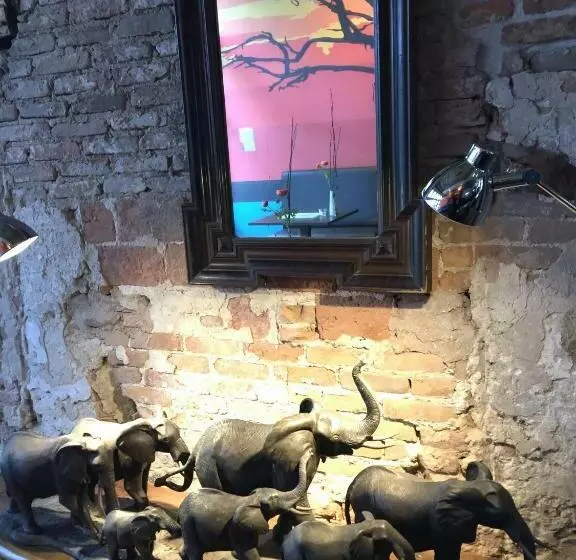 B&b Museumkwartier Schiedam