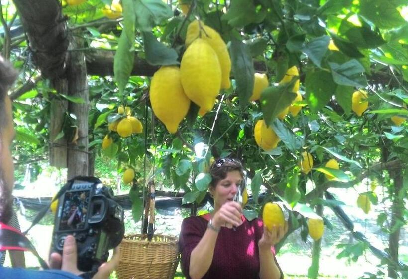 צימר A Pastaiola