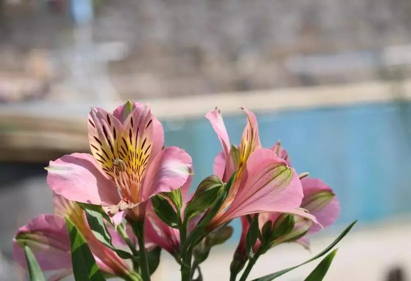 Aamiaismajoitus (B&B) Casa Da Aldeia Da Avó