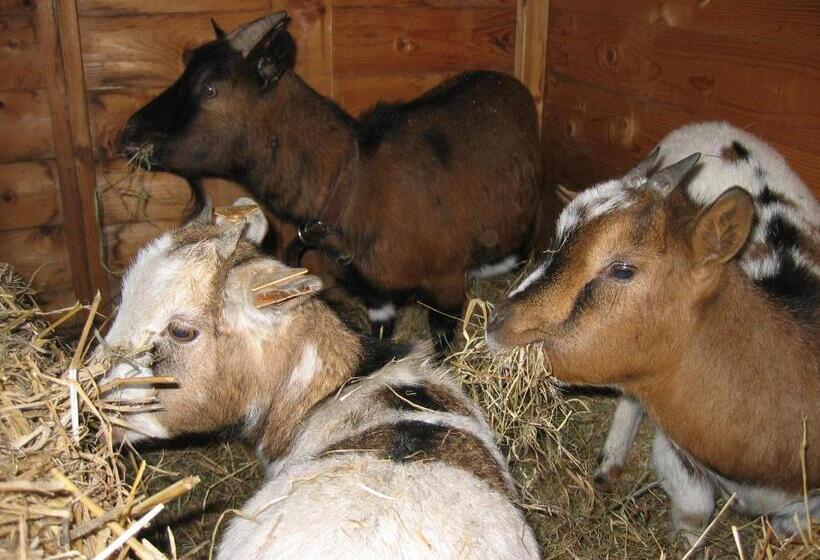 تختخواب و صبحانه Comme à La Ferme