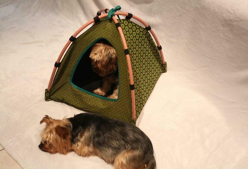 Bed and Breakfast Seven Gables