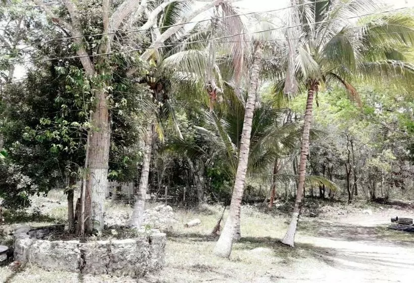 ホテル Templo Maya