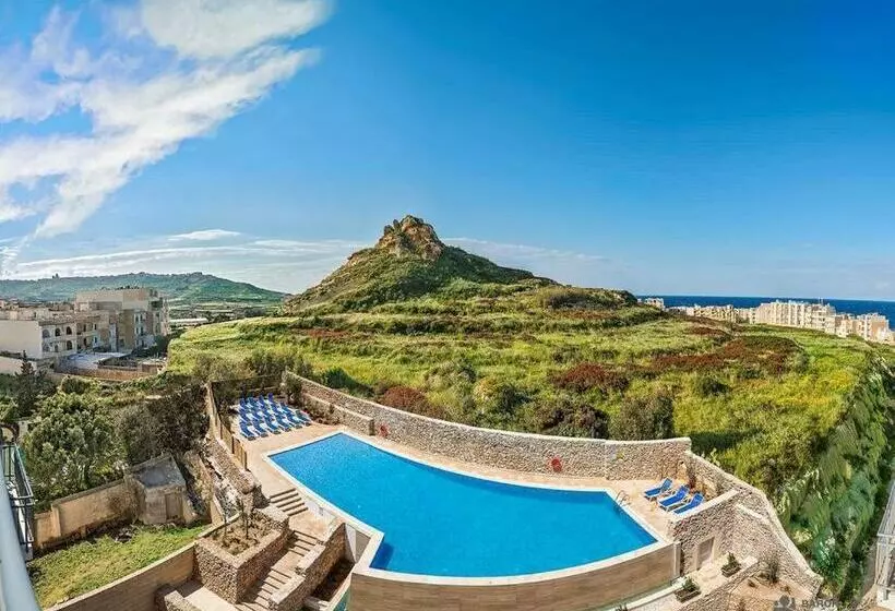 پانسیون Fur, Purr & Pool