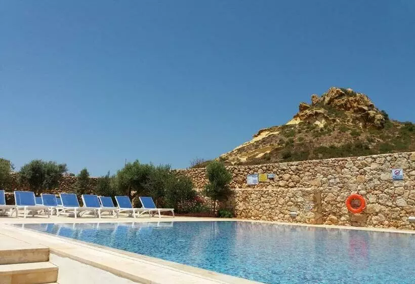 پانسیون Fur, Purr & Pool