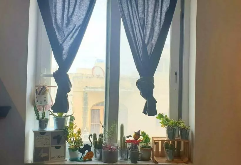 پانسیون Fur, Purr & Pool