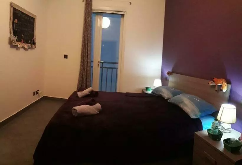 پانسیون Fur, Purr & Pool