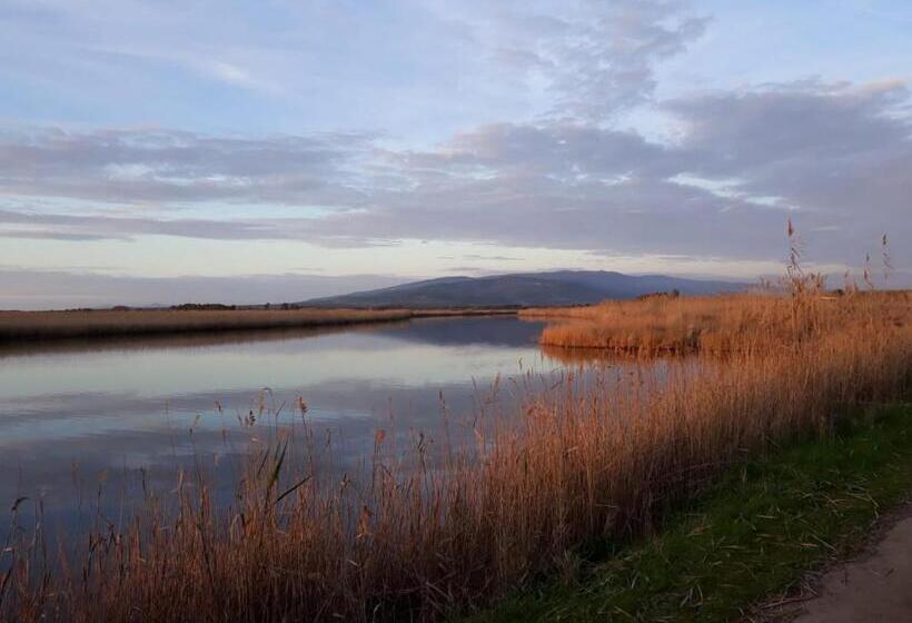 膳宿费 L Agrumeto Segreto