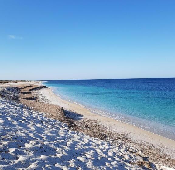 膳宿费 L Agrumeto Segreto